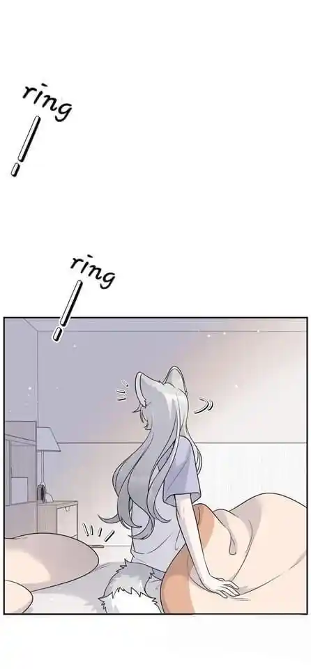 My Food Seems to Be Very Cute Ch.150