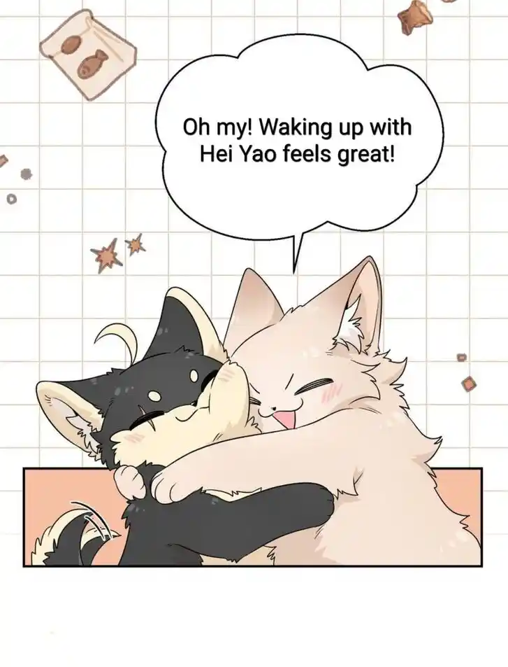 My Food Seems to Be Very Cute Ch.150