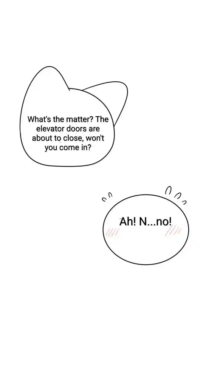 My Food Seems to Be Very Cute Ch.150