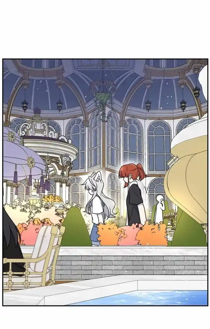 My Food Seems to Be Very Cute Ch.186