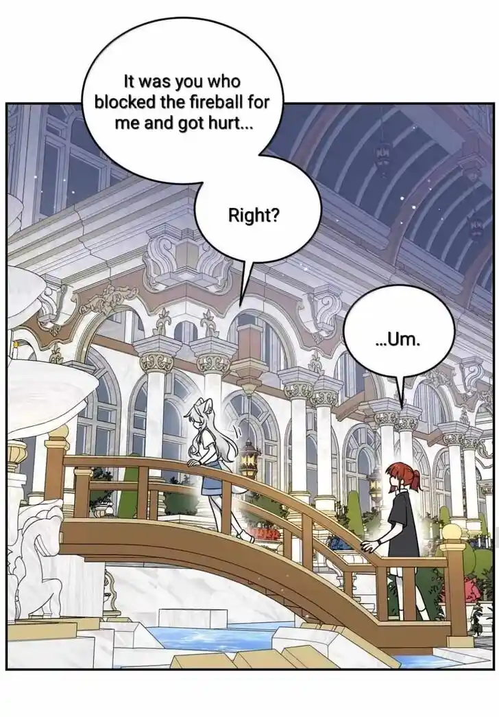 My Food Seems to Be Very Cute Ch.186