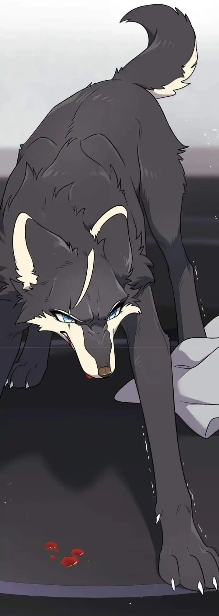 My Food Seems to Be Very Cute Ch.193