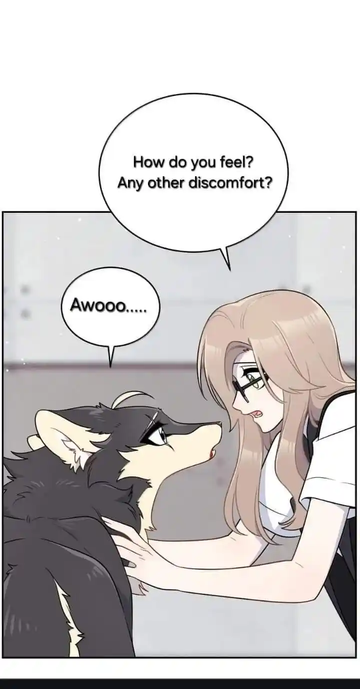 My Food Seems to Be Very Cute Ch.193