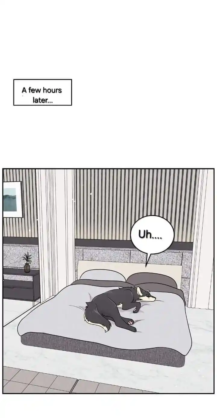 My Food Seems to Be Very Cute Ch.193