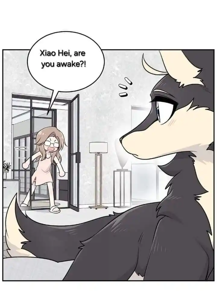 My Food Seems to Be Very Cute Ch.193