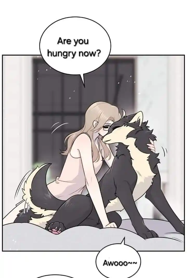 My Food Seems to Be Very Cute Ch.193