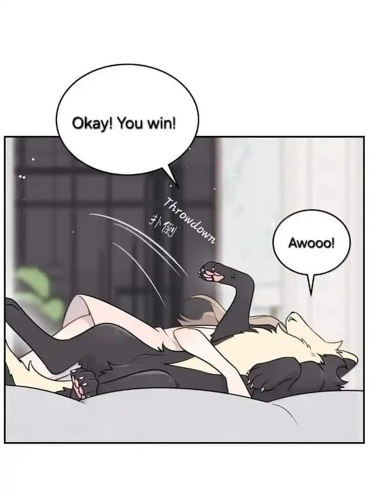 My Food Seems to Be Very Cute Ch.193