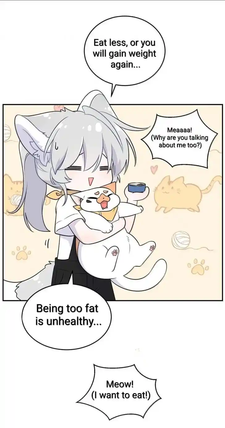 My Food Seems to Be Very Cute Ch.194