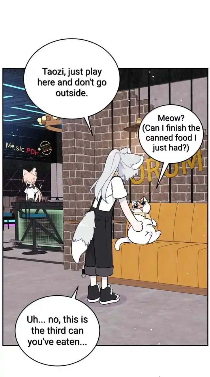 My Food Seems to Be Very Cute Ch.194