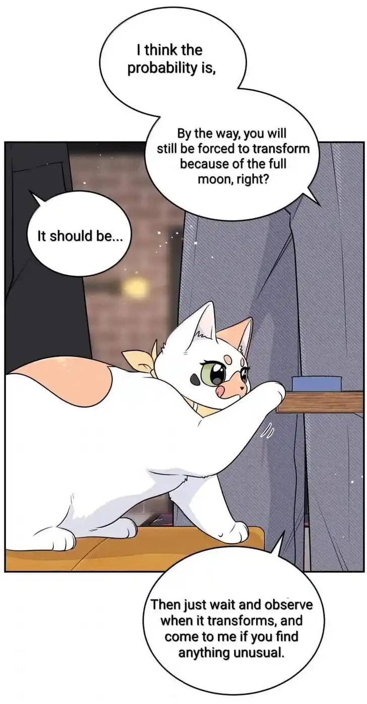 My Food Seems to Be Very Cute Ch.194