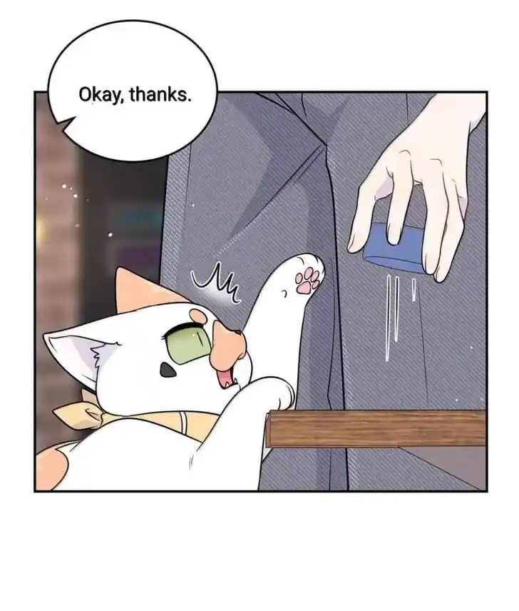 My Food Seems to Be Very Cute Ch.194