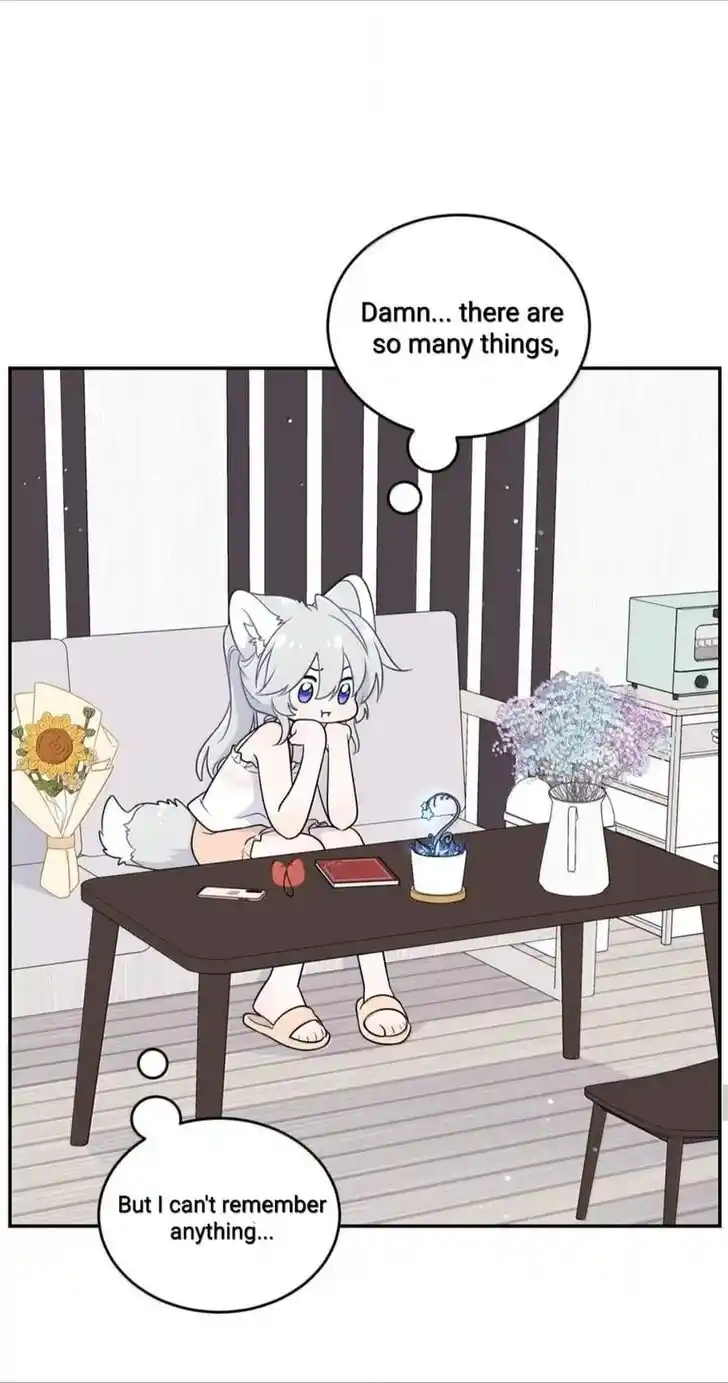 My Food Seems to Be Very Cute Ch.194