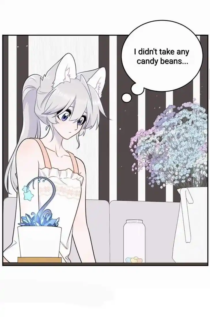 My Food Seems to Be Very Cute Ch.195