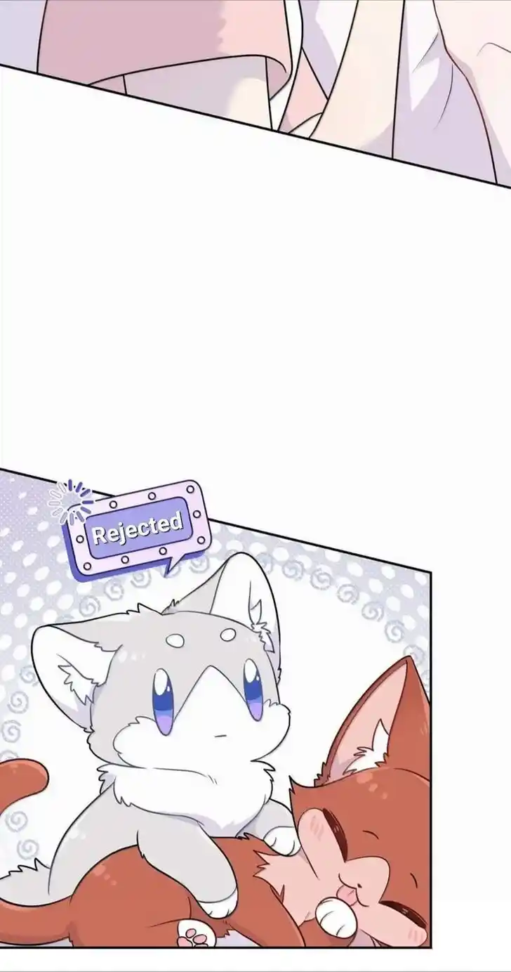 My Food Seems to Be Very Cute Ch.195