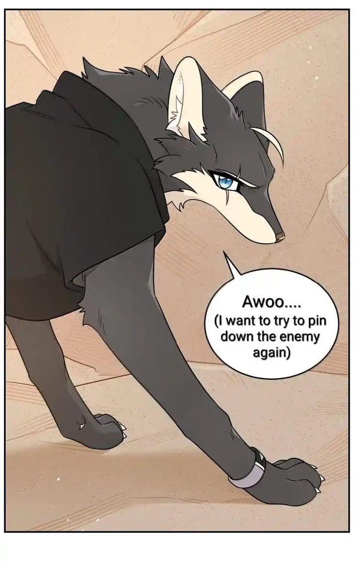 My Food Seems to Be Very Cute Ch.197