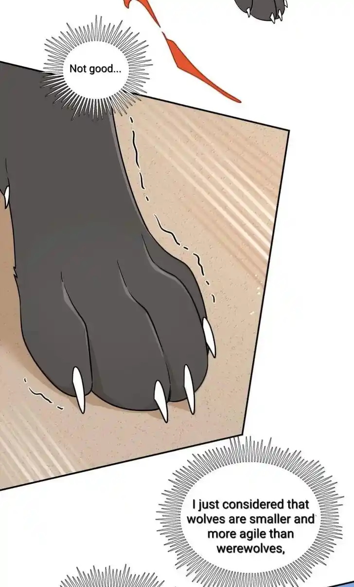 My Food Seems to Be Very Cute Ch.197