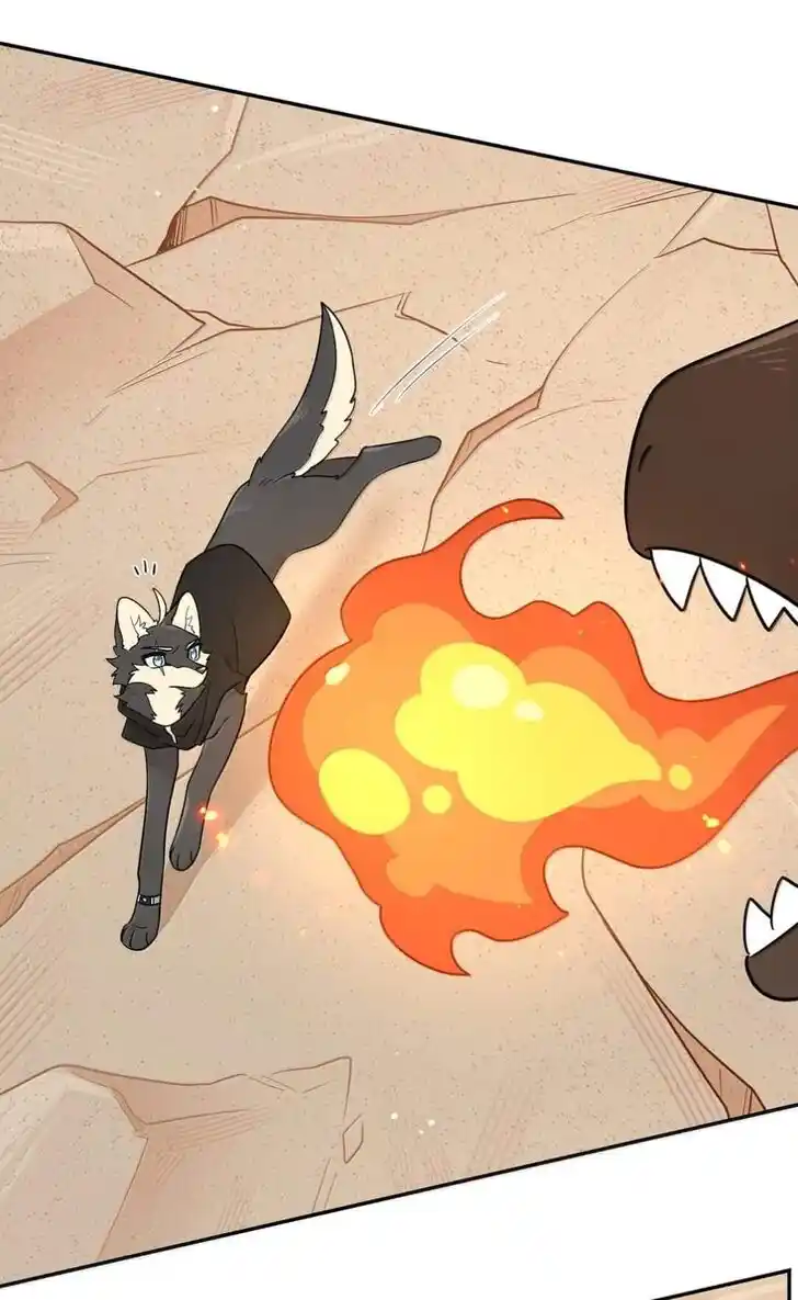 My Food Seems to Be Very Cute Ch.197