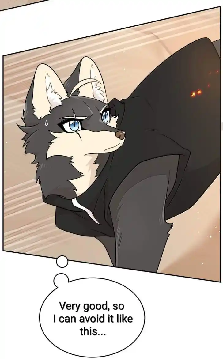 My Food Seems to Be Very Cute Ch.197