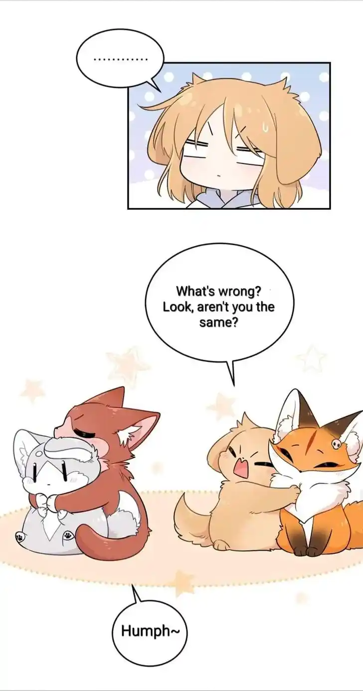 My Food Seems to Be Very Cute Ch.198