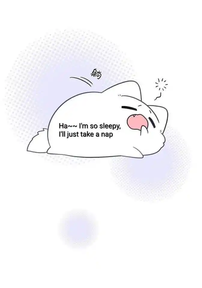 My Food Seems to Be Very Cute Ch.199