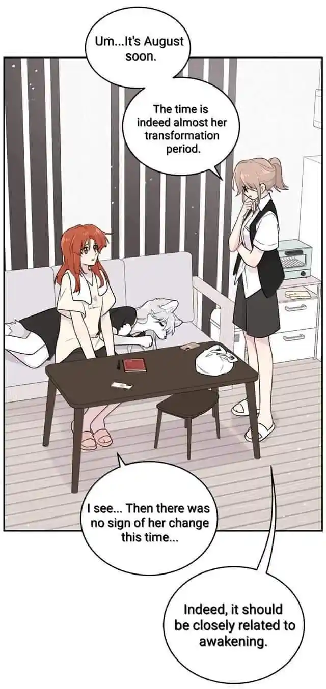 My Food Seems to Be Very Cute Ch.199