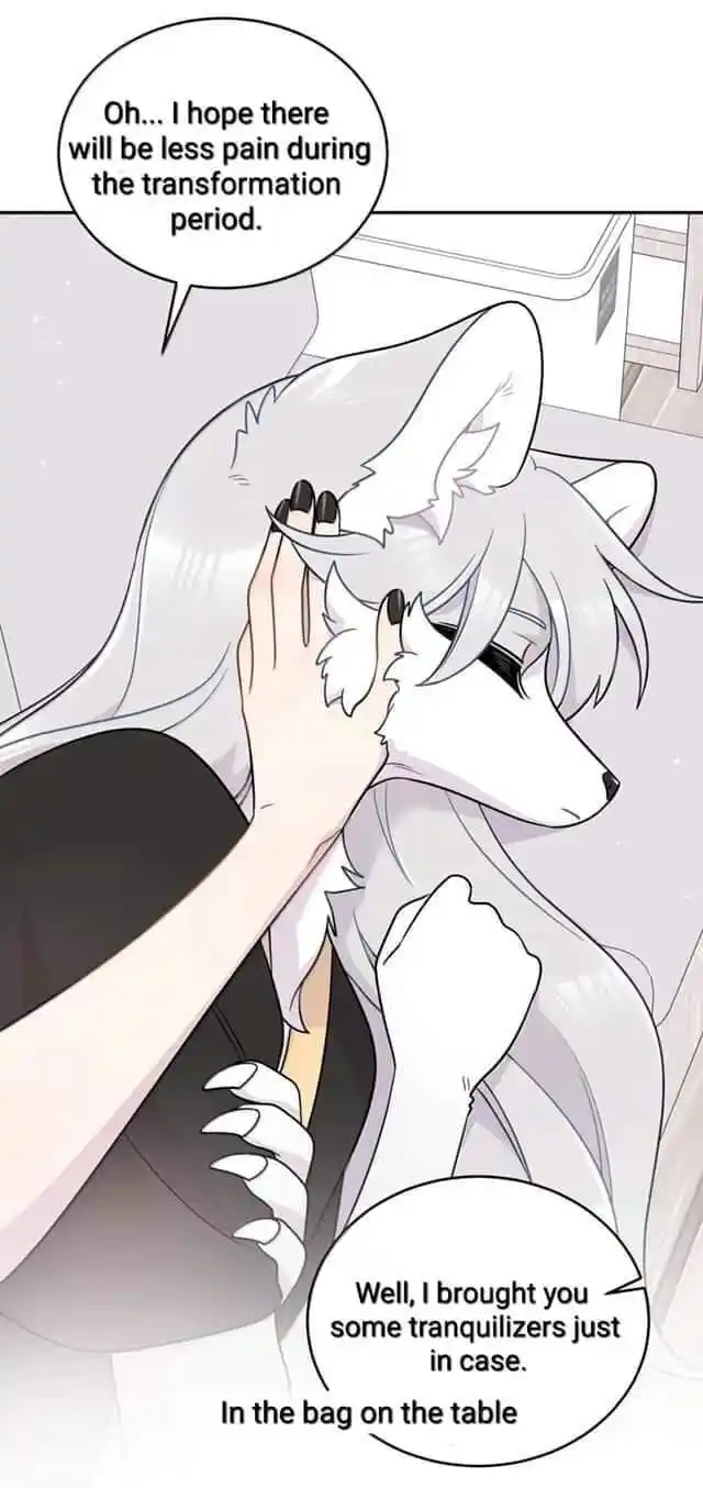 My Food Seems to Be Very Cute Ch.199