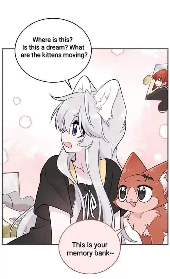 My Food Seems to Be Very Cute Ch.199