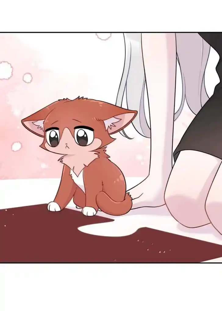 My Food Seems to Be Very Cute Ch.199