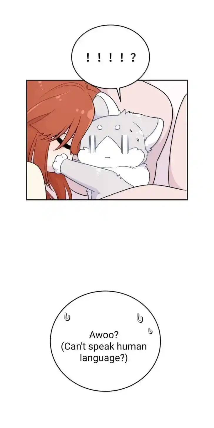 My Food Seems to Be Very Cute Ch.199