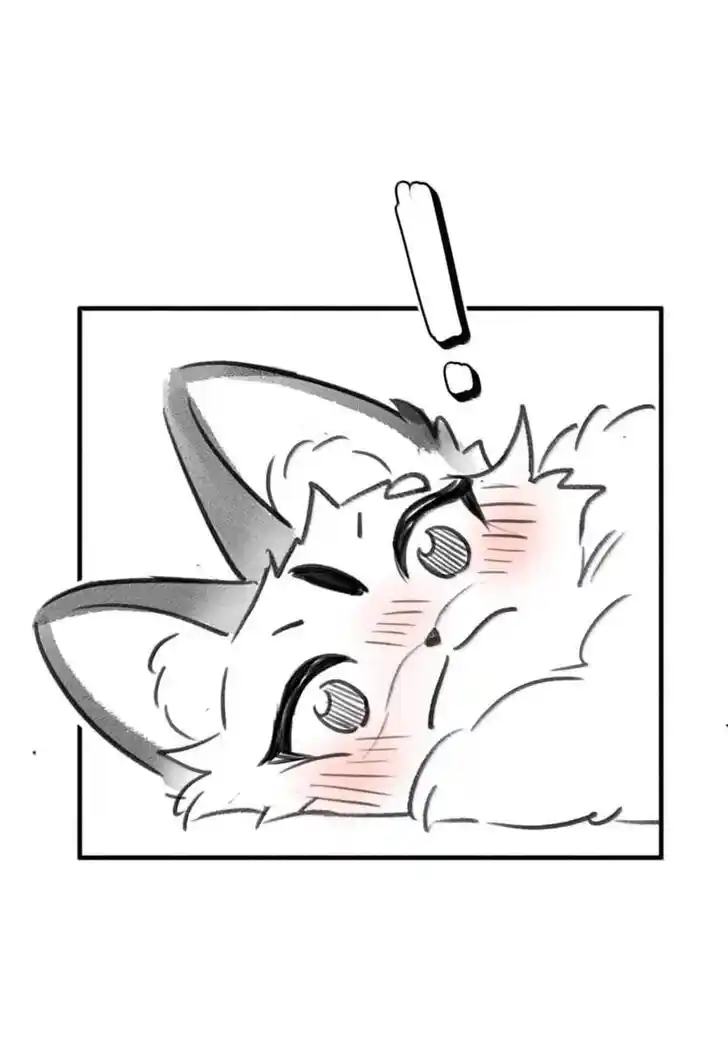 My Food Seems to Be Very Cute Ch.199