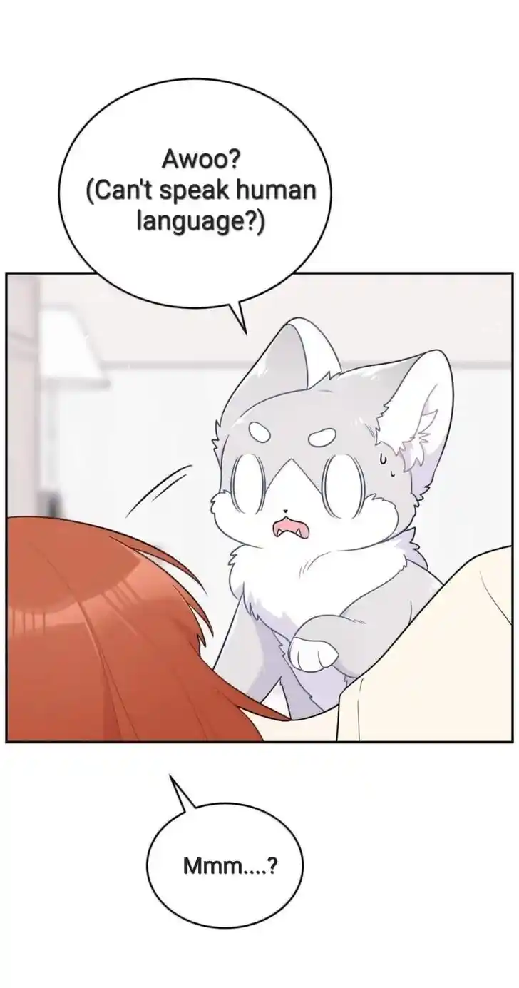 My Food Seems to Be Very Cute Ch.200