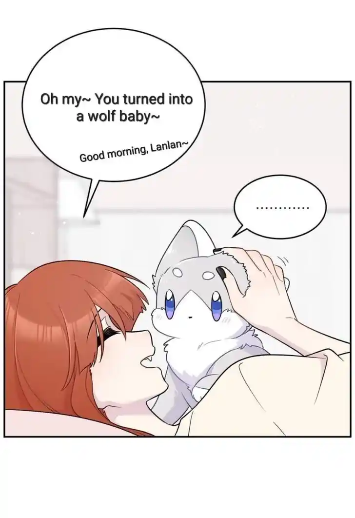 My Food Seems to Be Very Cute Ch.200