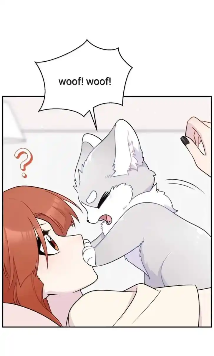 My Food Seems to Be Very Cute Ch.200