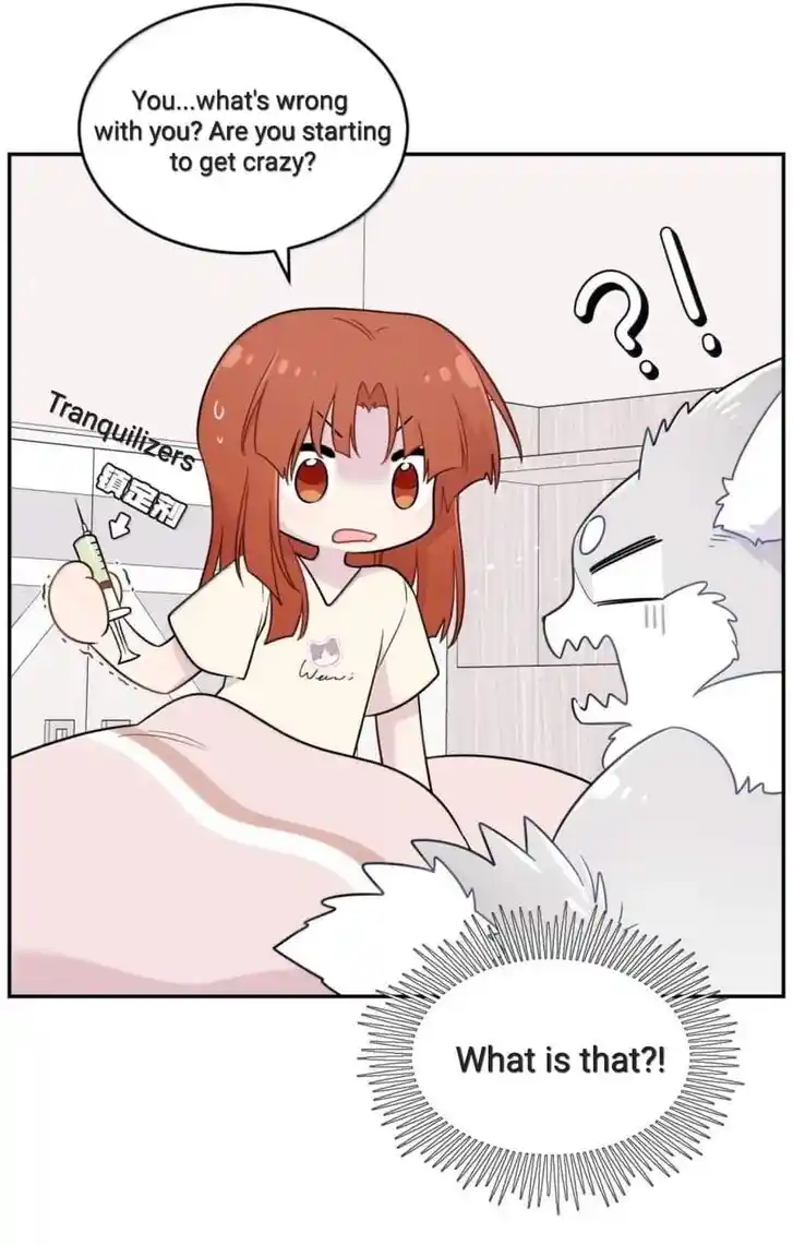 My Food Seems to Be Very Cute Ch.200