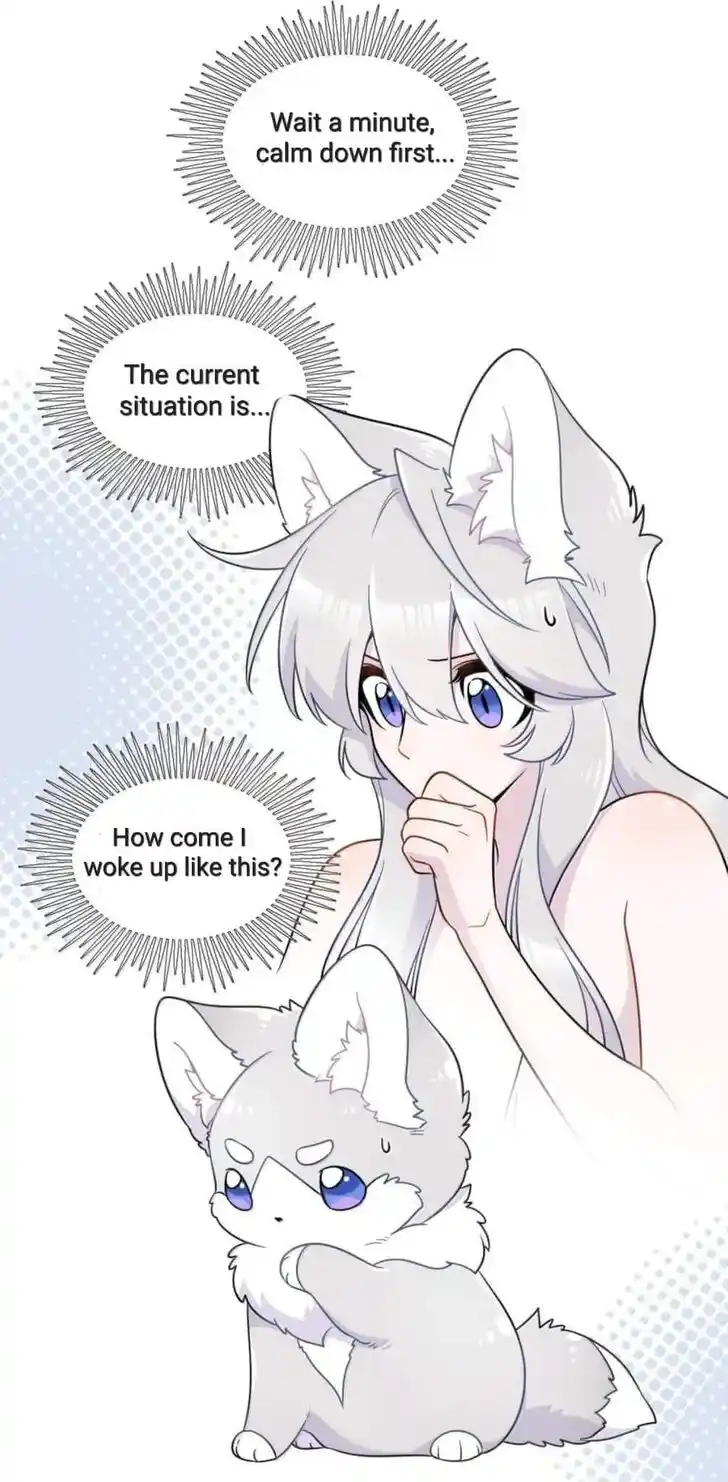 My Food Seems to Be Very Cute Ch.200