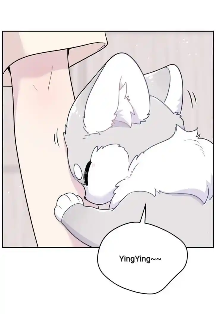 My Food Seems to Be Very Cute Ch.200