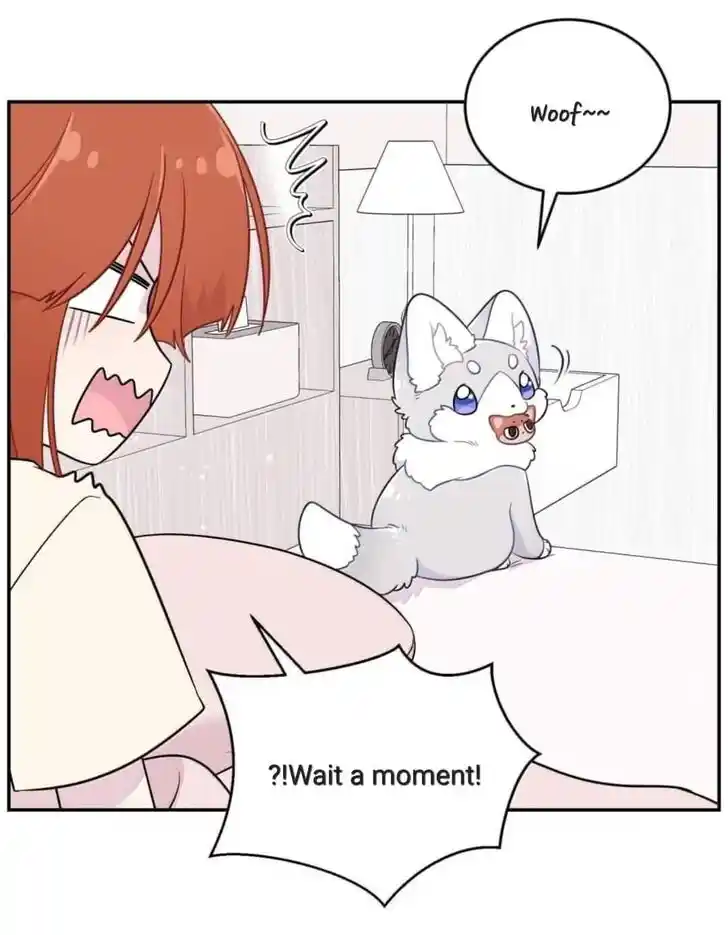 My Food Seems to Be Very Cute Ch.200