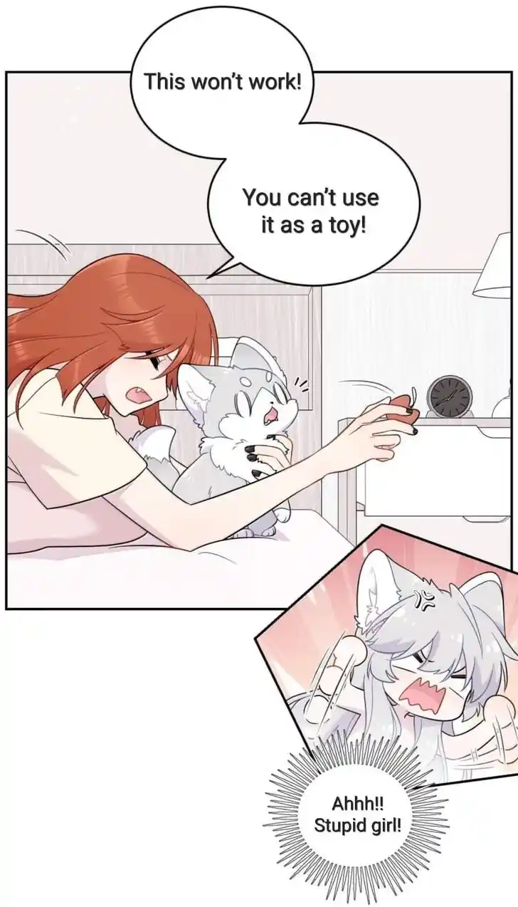 My Food Seems to Be Very Cute Ch.200