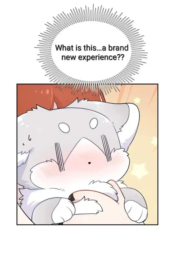 My Food Seems to Be Very Cute Ch.200