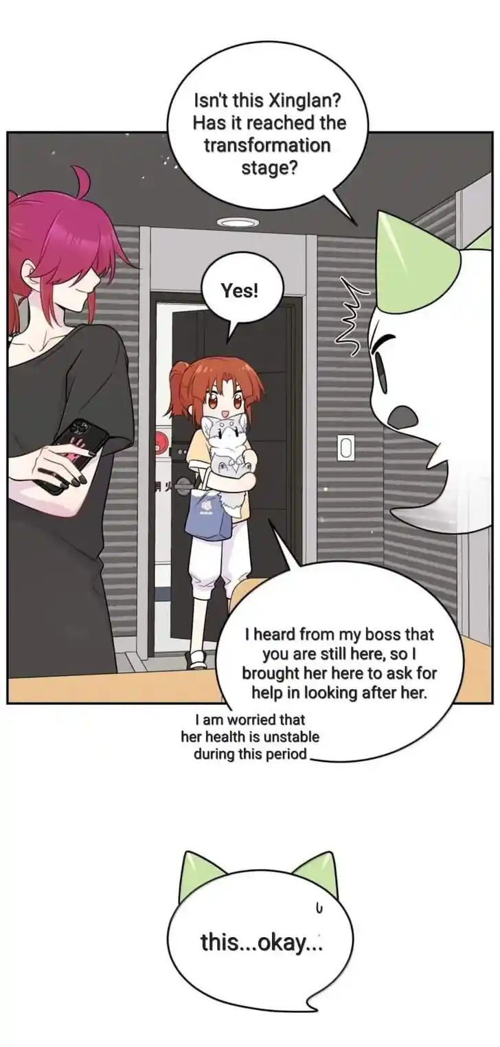 My Food Seems to Be Very Cute Ch.201