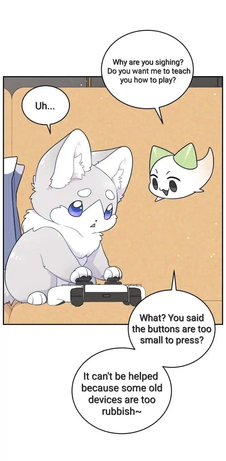 My Food Seems to Be Very Cute Ch.201