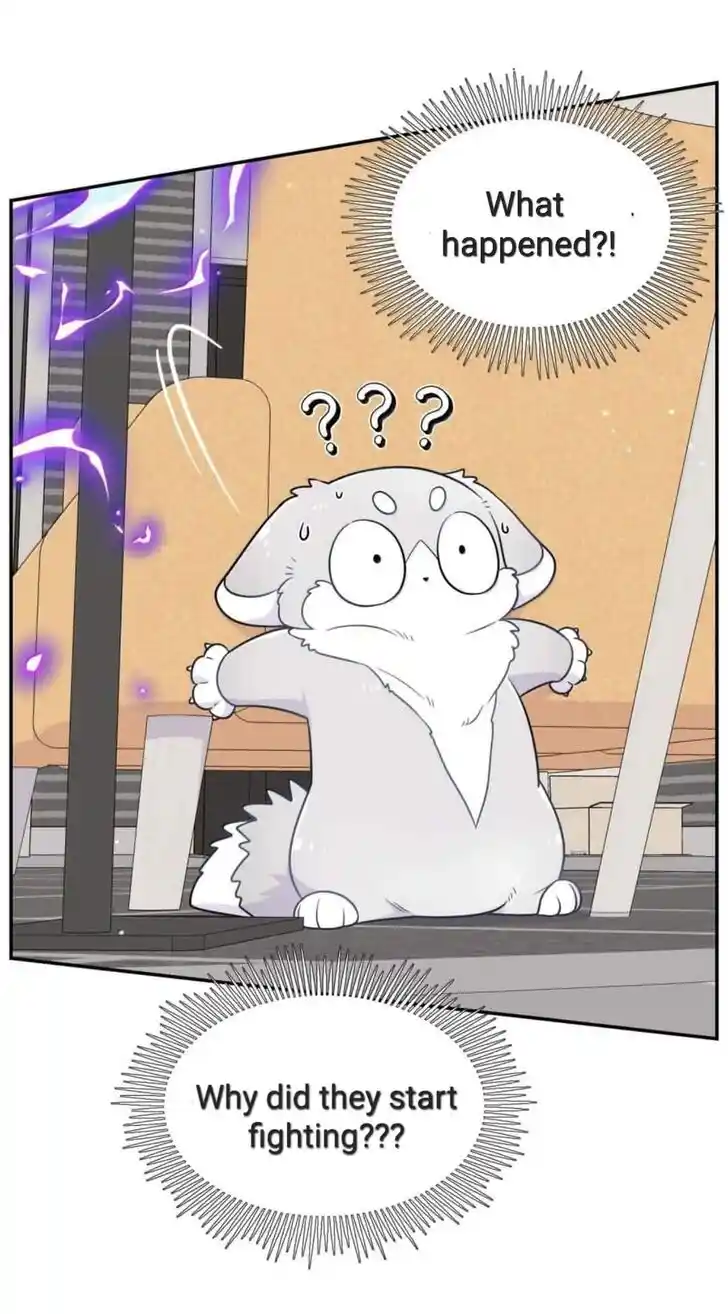 My Food Seems to Be Very Cute Ch.201