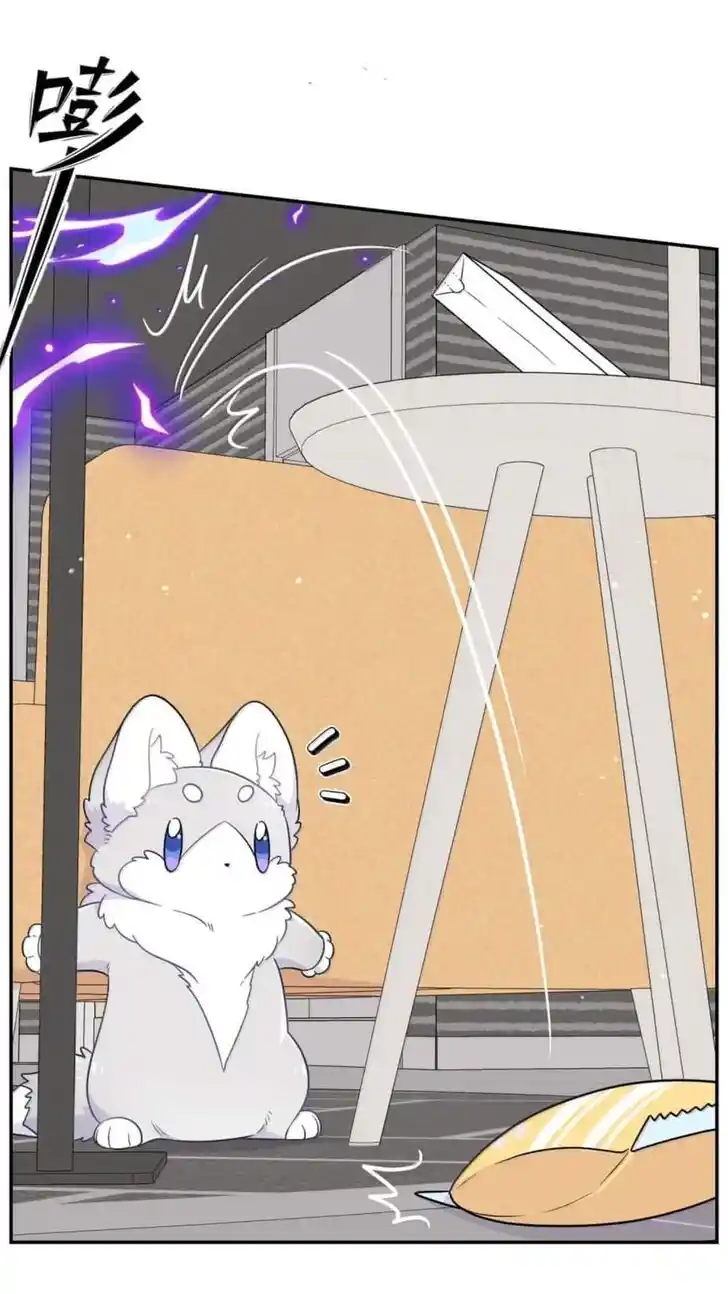 My Food Seems to Be Very Cute Ch.201