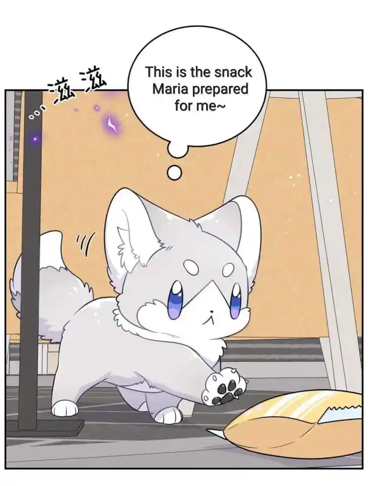 My Food Seems to Be Very Cute Ch.201