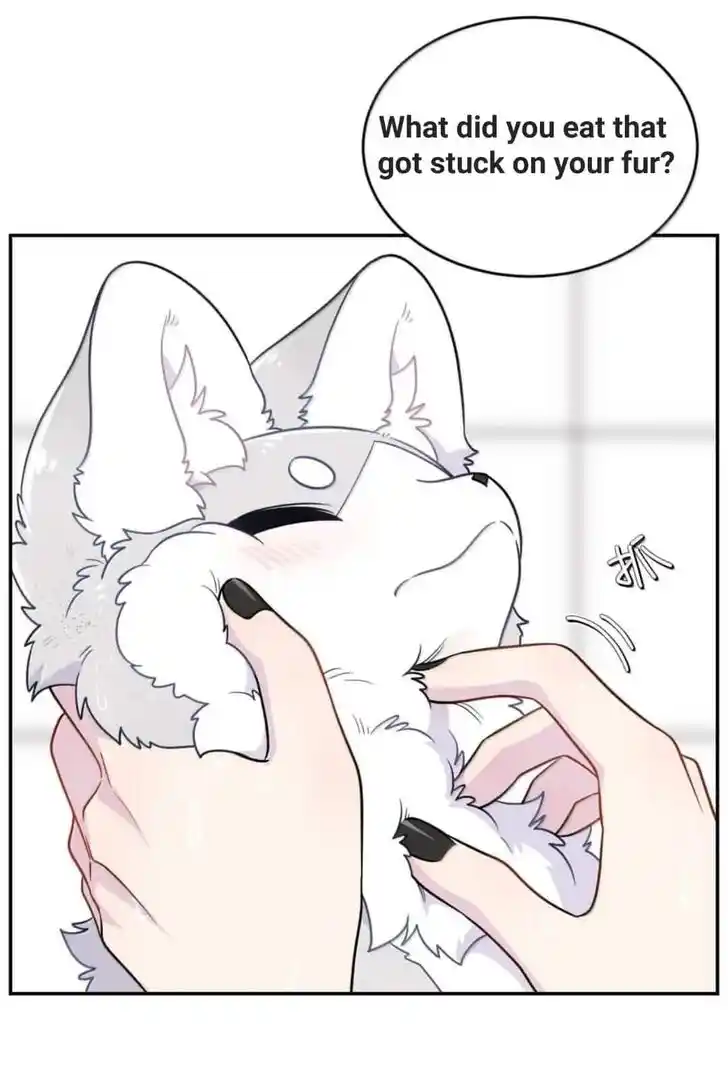 My Food Seems to Be Very Cute Ch.201