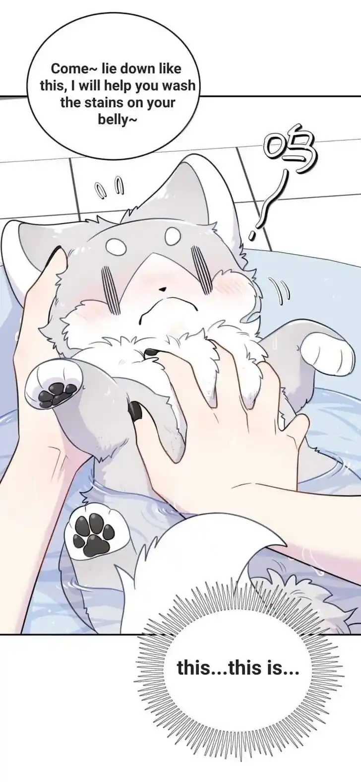 My Food Seems to Be Very Cute Ch.201