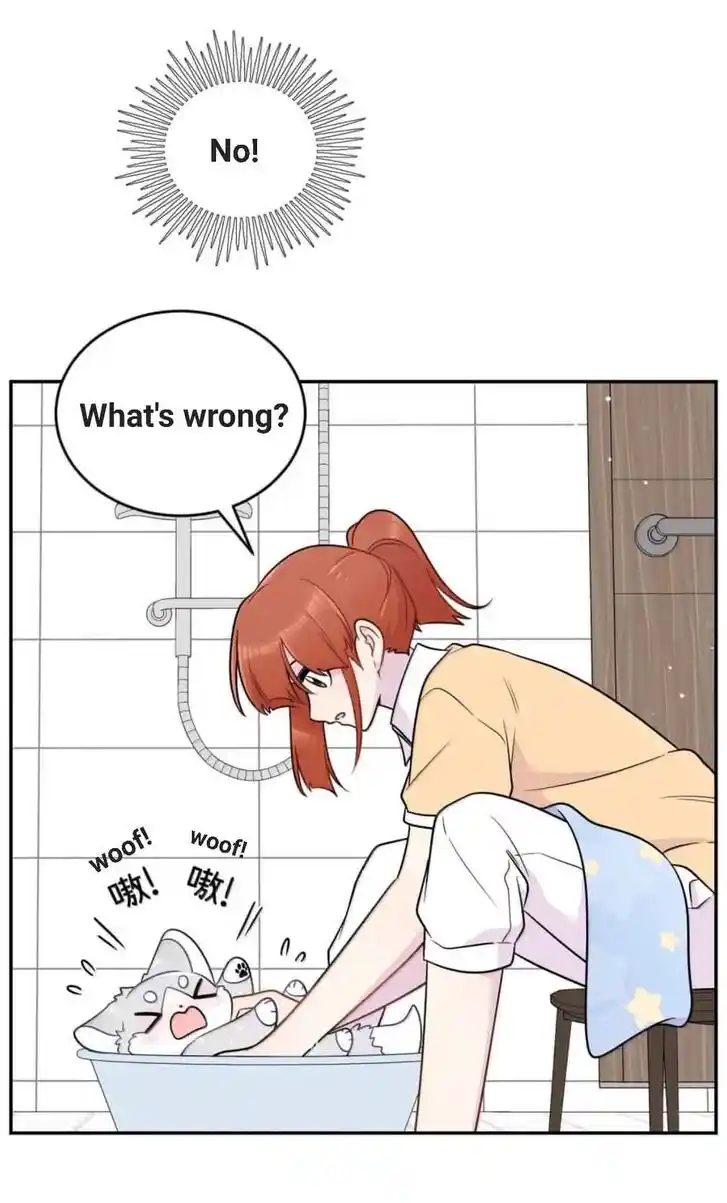 My Food Seems to Be Very Cute Ch.201