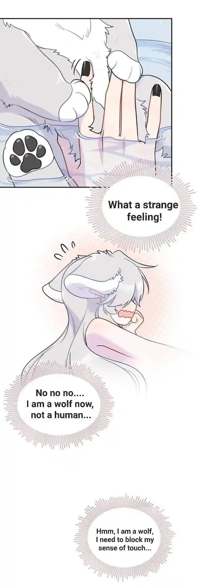 My Food Seems to Be Very Cute Ch.201