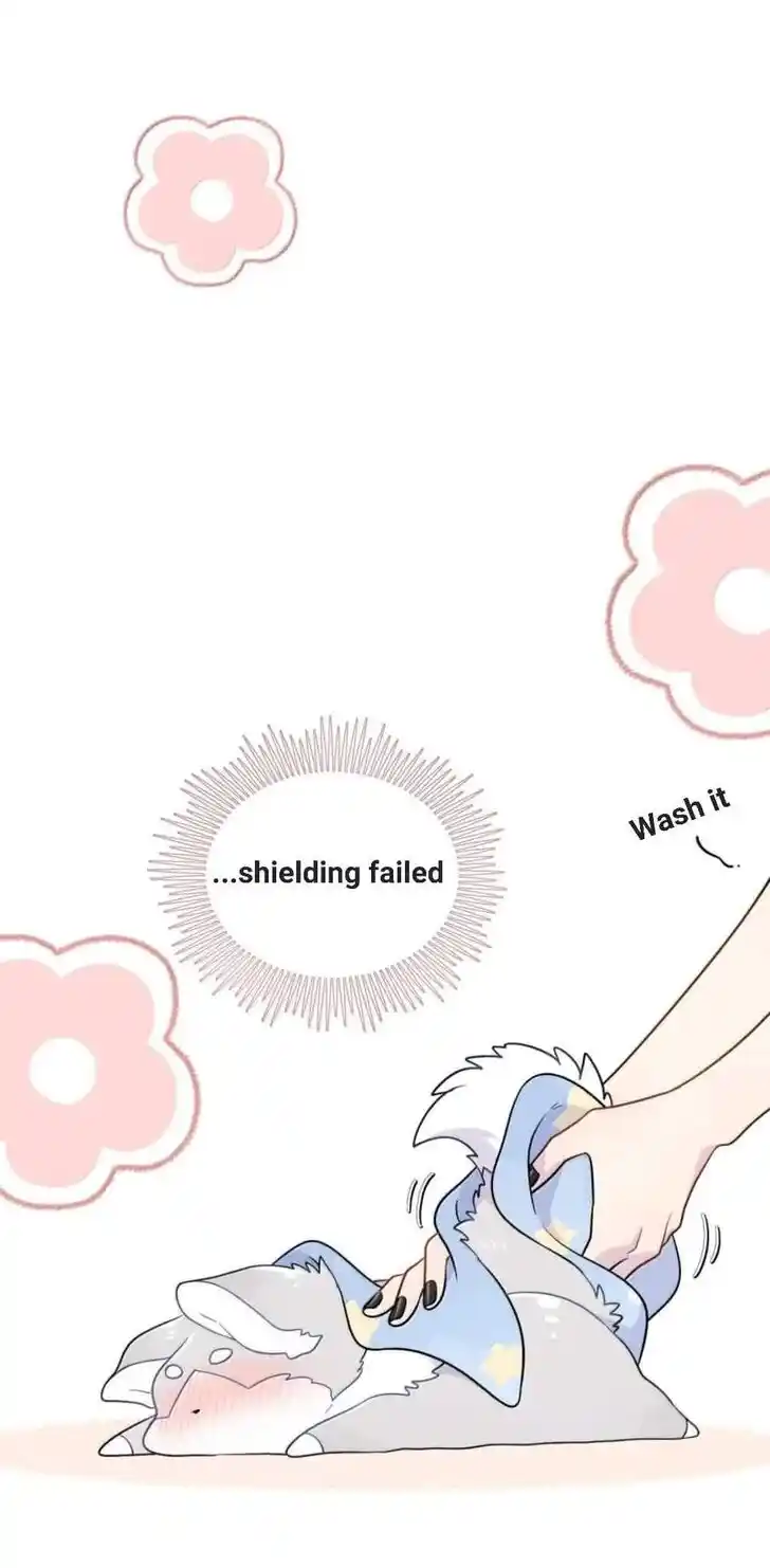 My Food Seems to Be Very Cute Ch.201