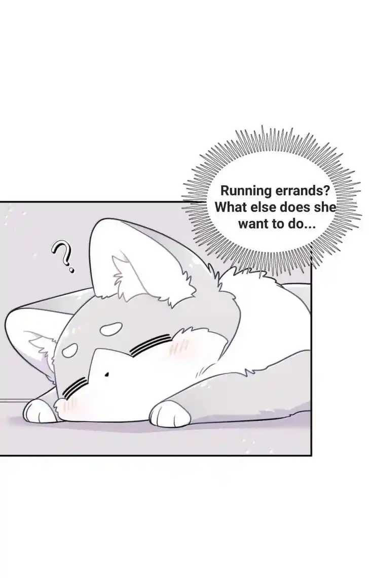 My Food Seems to Be Very Cute Ch.201